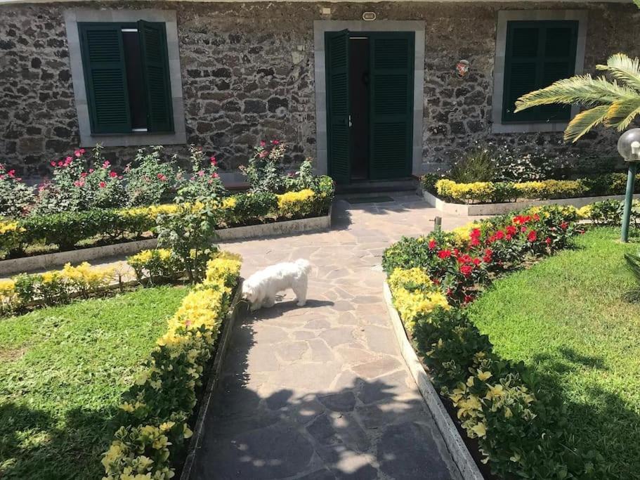 Villa Vittoria, Ischia Exterior foto